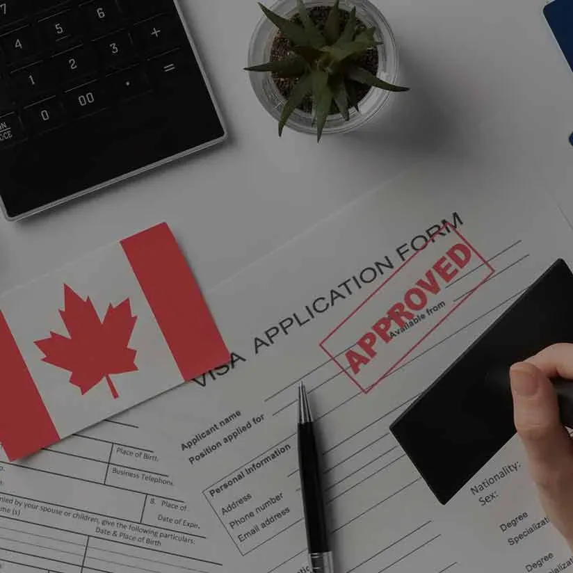 Canada’s Visa Policies Are Shifting—Here’s How to Outsmart the Wait with NB Visa’s Expert Advice